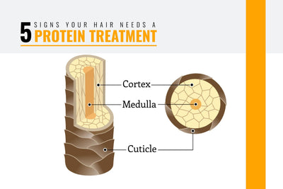5 Vital Signs Your Hair Needs A Protein Treatment