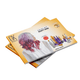 GKhair Sales Kit Catalong EN / ES