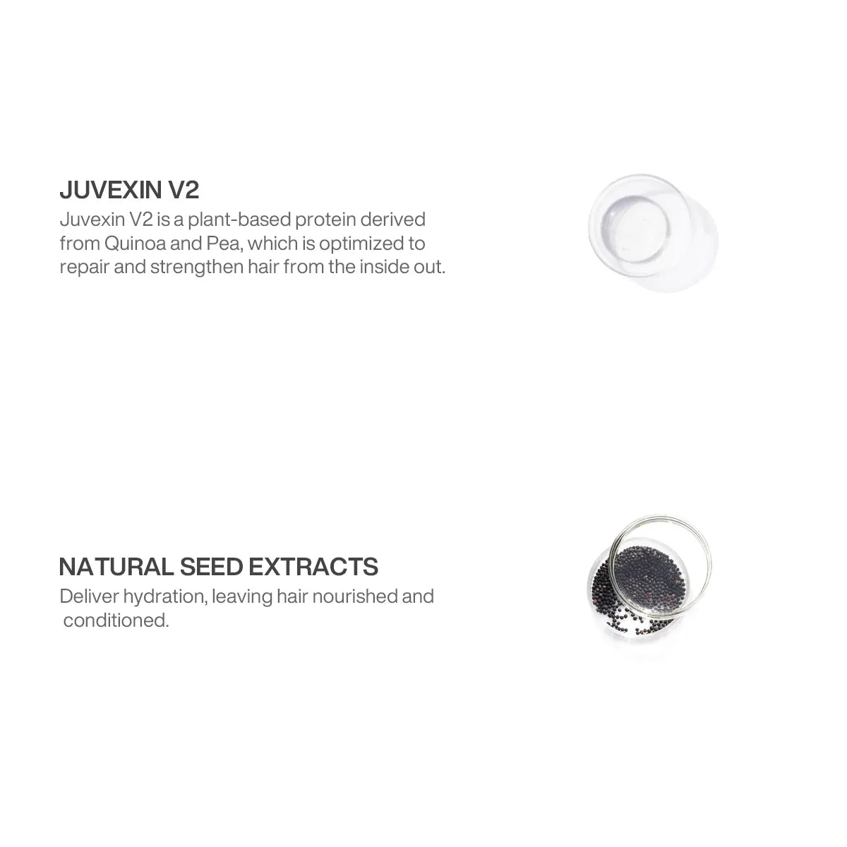 The Best Coco Keratin Professional Hair Kit Pro
