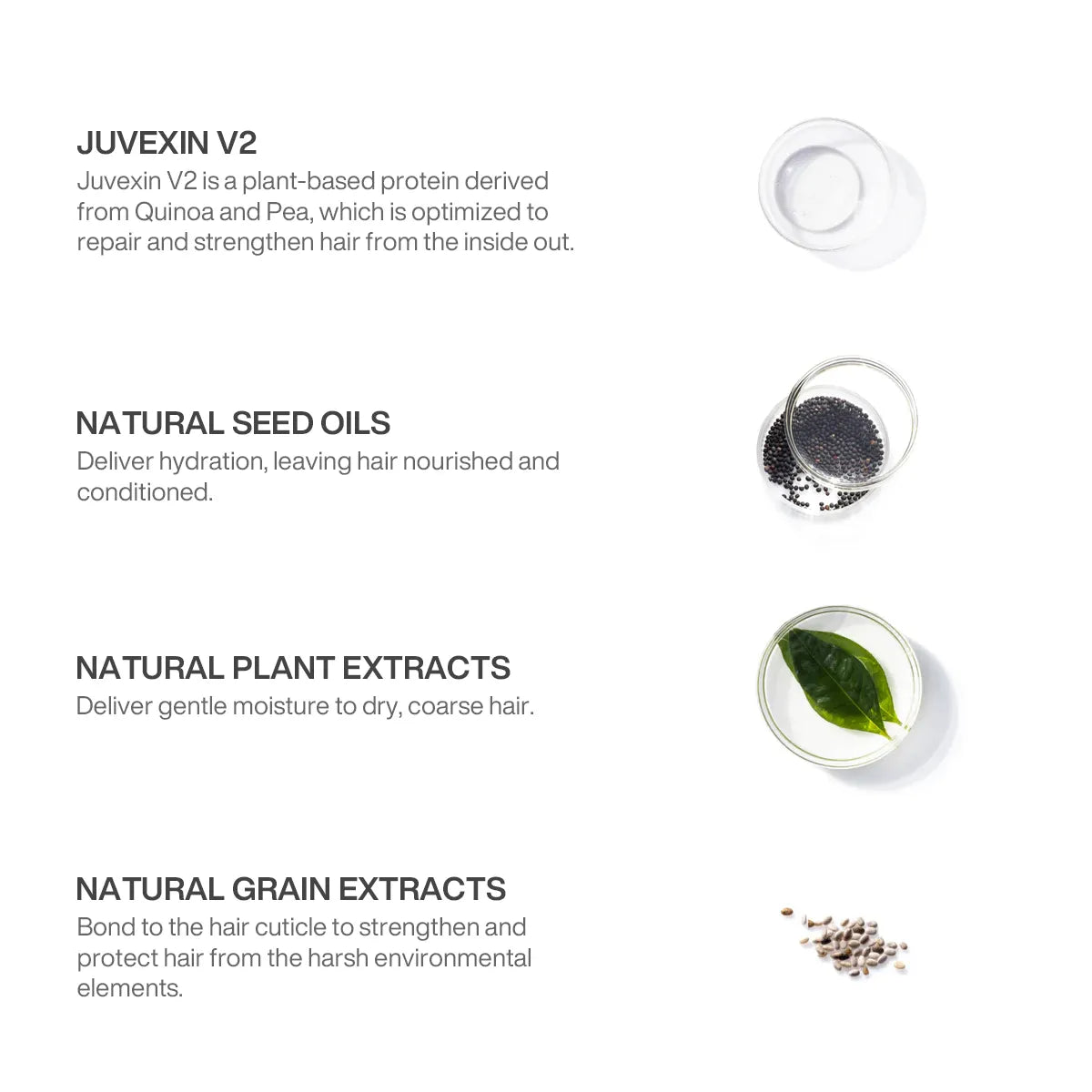 Moisturizing Shampoo & Conditioner